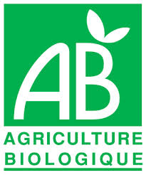 AB Logo